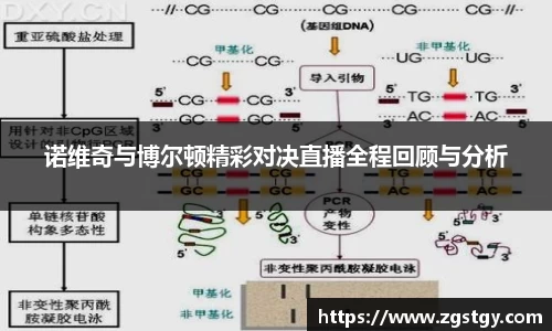 JN江南体育官方app