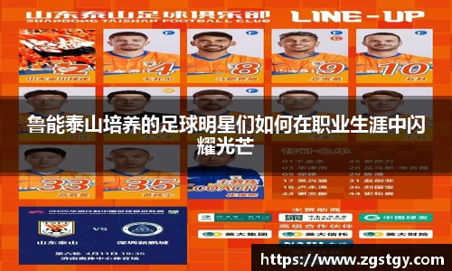 JN江南体育官网