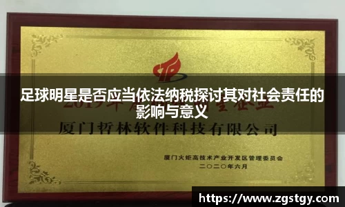 足球明星是否应当依法纳税探讨其对社会责任的影响与意义